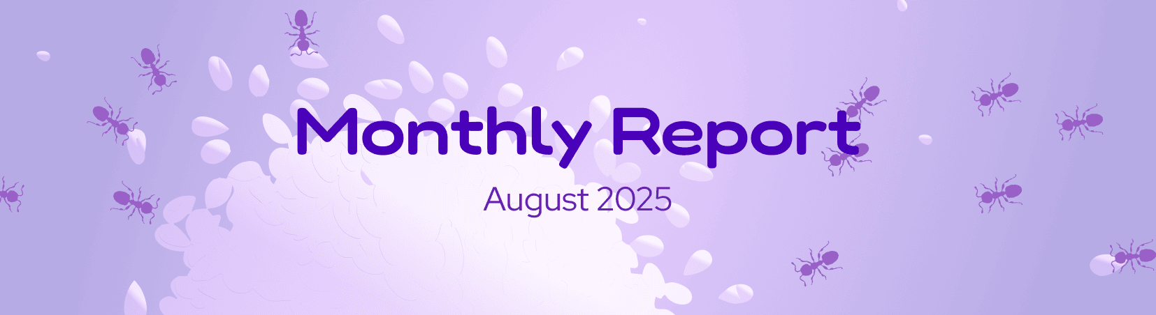 The DeFi Collective - August 2025 Report