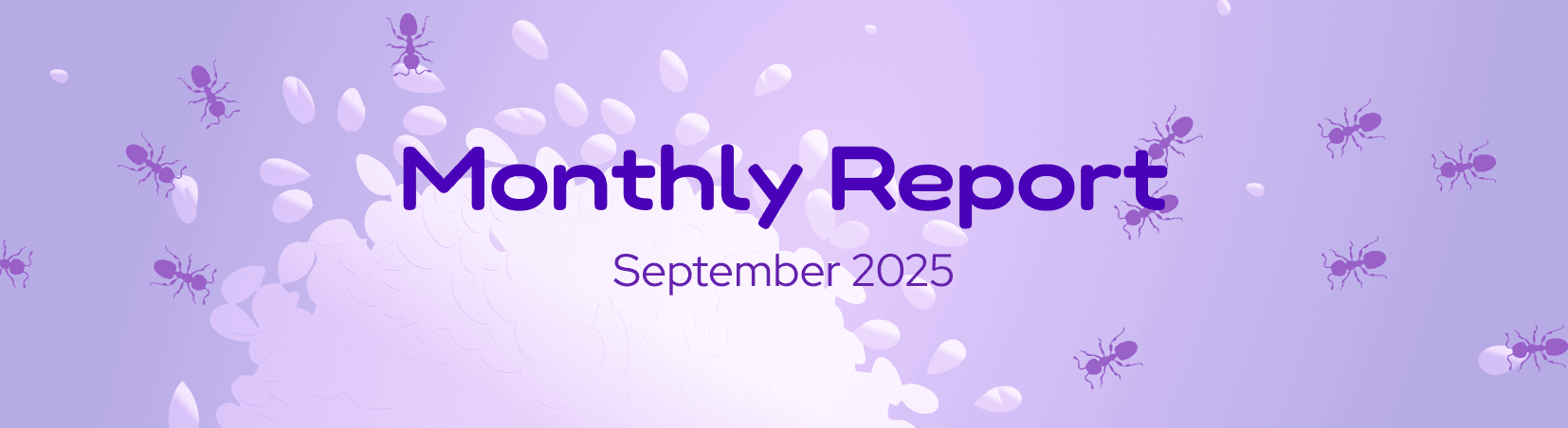 The DeFi Collective - September 2025 Report